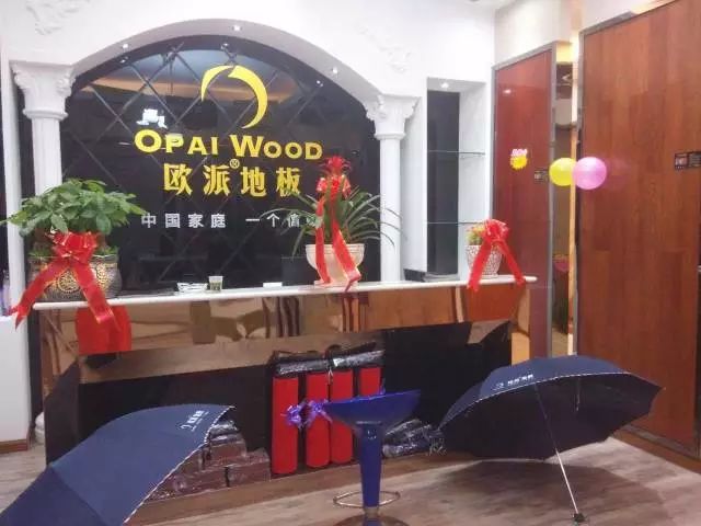 讓夢想起航—?dú)W派地板圓夢助學(xué)貴州行站