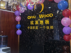 溫嶺城南歐派地板專賣店11.18特惠活動(dòng)
