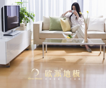 實(shí)木地板品牌