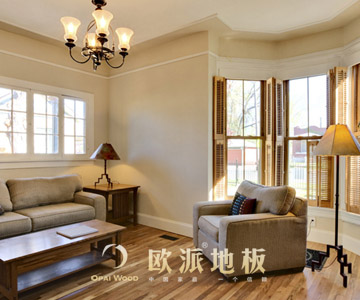 實(shí)木地板